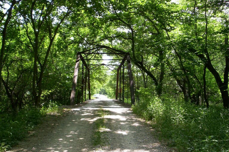 View of dirt path with forrest and trees surrounding and bridge overhead