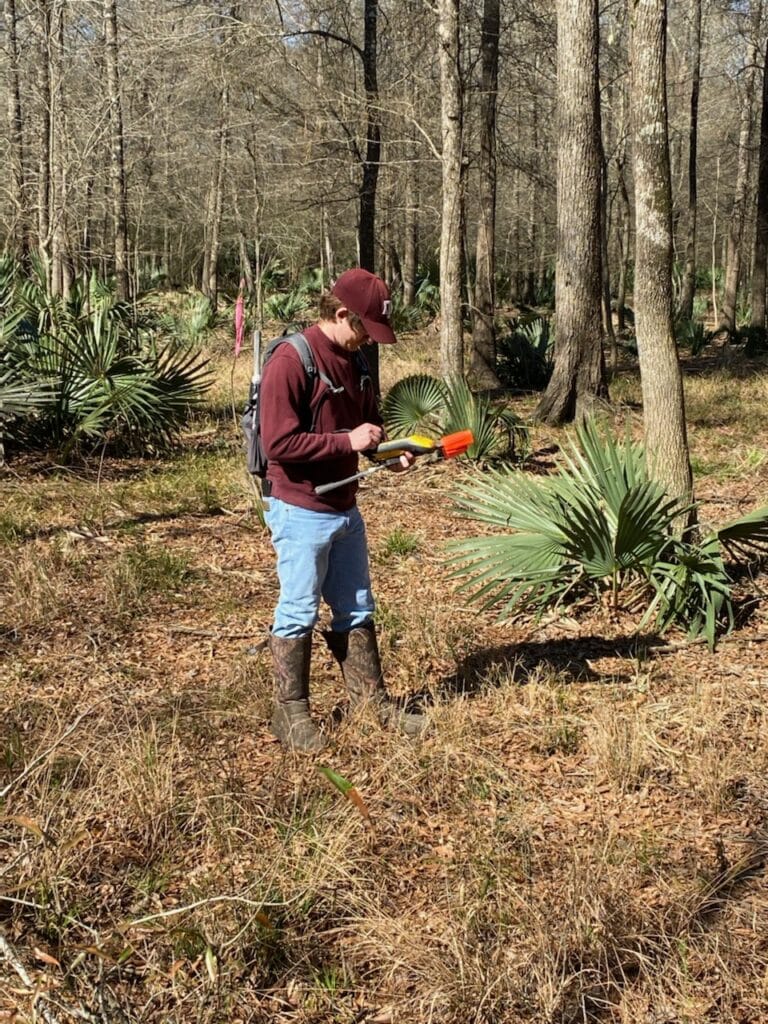 Daniel - Flagging Wetland