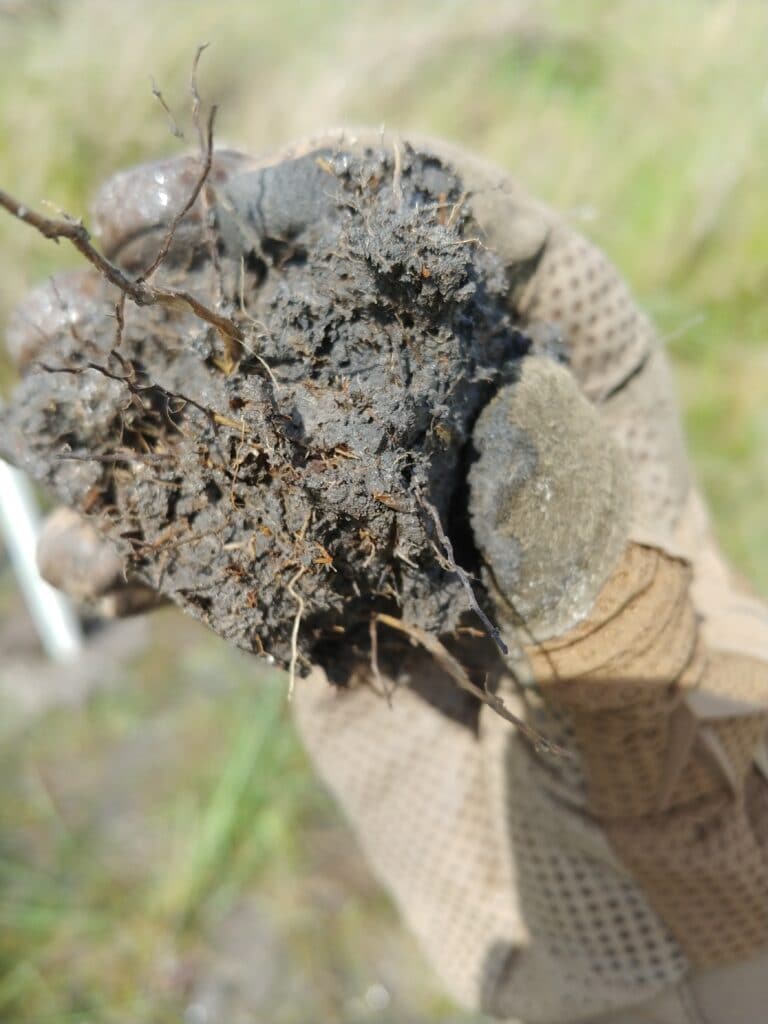 Mud Closeup